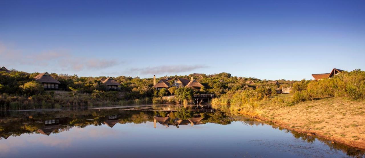 Lalibela Game Reserve - Kichaka Lodge باترسون المظهر الخارجي الصورة