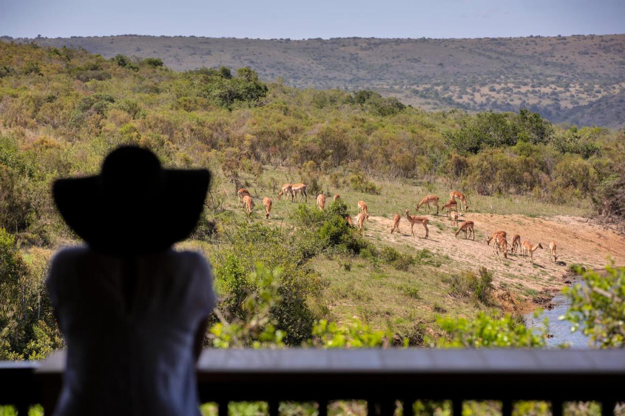Lalibela Game Reserve - Kichaka Lodge باترسون المظهر الخارجي الصورة