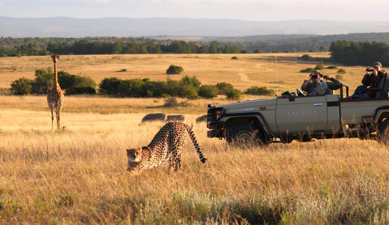 Lalibela Game Reserve - Kichaka Lodge باترسون المظهر الخارجي الصورة